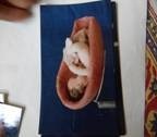 clip_image036