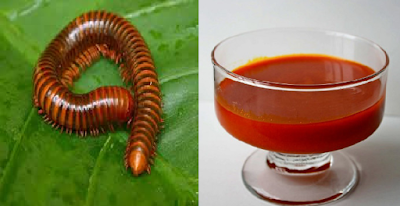 Millipedes boost taste in Ghana's palm oil