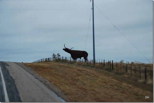 11-16-15 A Travel Aubrey to Broomfield US380 (35)