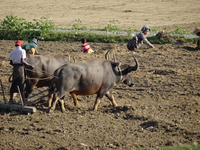 Amarapura Mandalay Burma Myanmar