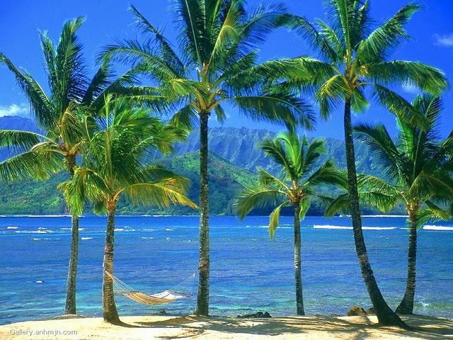 gambar pantai keren dan cantik begitu indah