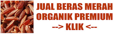 Perbedaan beras organik dan non organik makanan sehat untuk diet