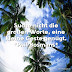 zitate natur