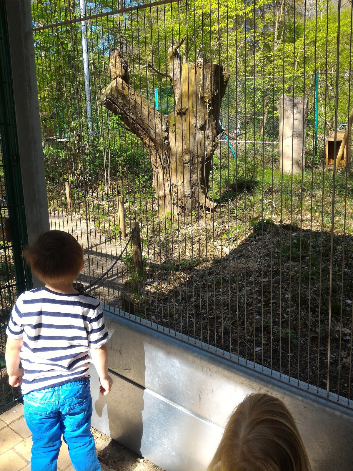 observe le hibou et on regarde sur la carte ensuite