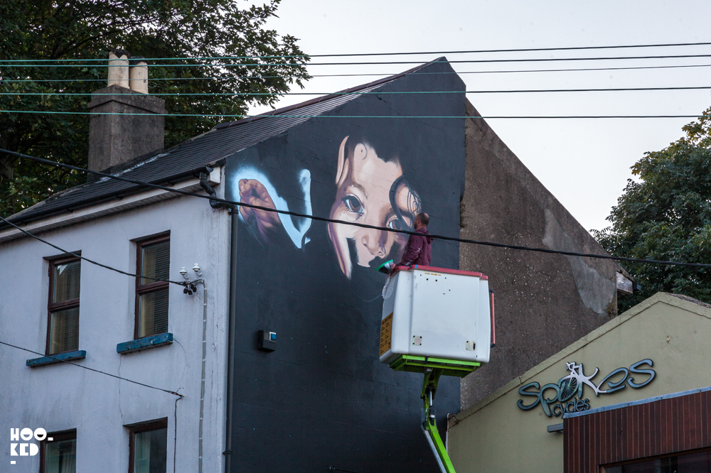 Irish Street Art Festival Waterford Walls 2017