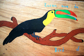 Tucan en Costa Rica