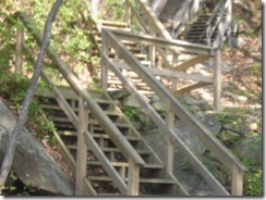 P1010293