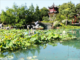 Puente del Dream Lake en el Jardín Chino, Montreal