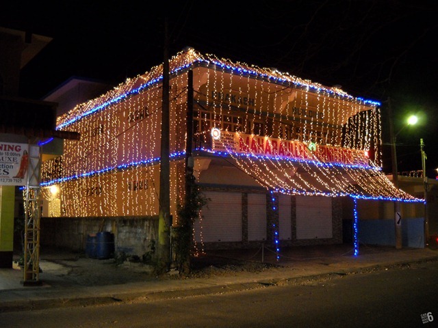 DSCN5866