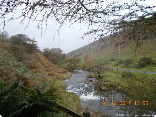 DSCN2009