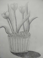 Harmony Arts Academy Drawing Classes Thursday 18-July-19 Anusha Yogesh Bhojane 11 yrs Flowers Nature Drawing Drawing Grade Pencils, Paper SSDP - Pencil Sketching