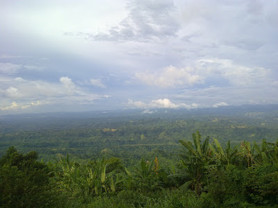 natural hills bandarban