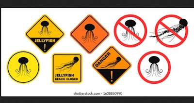 8. "It" wants us to look on in curiosity, no wonderment. The warning of the Blue Bottle Jellyfish with stingers.