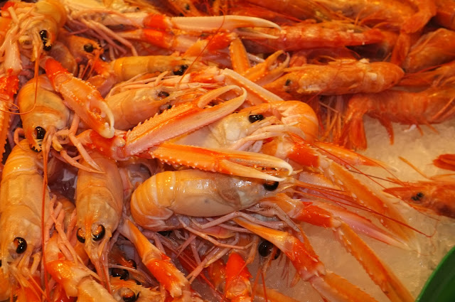 prawns photo