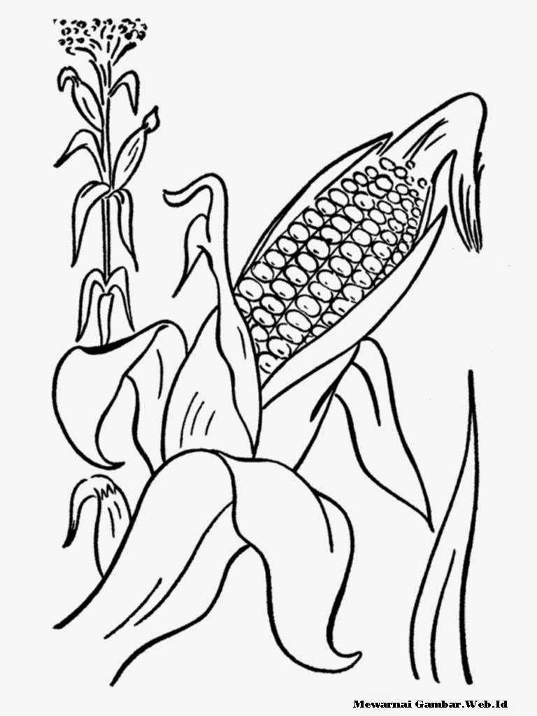 Free tuhan yesus coloring pages