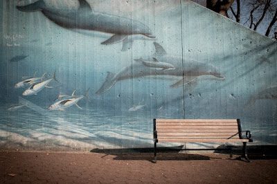 bench at porpoise mural, national zoo