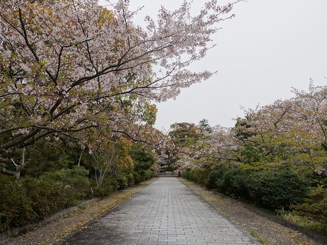 鳥取県西伯郡大山町名和　名和神社　参道