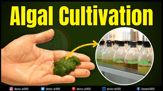 Algal Cultivation: Methods, Systems, Applications & Emerging Trends for Sustainable Biomass Production