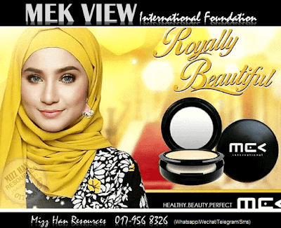  MEK VIEW INTERNATIONAL FOUNDATION 