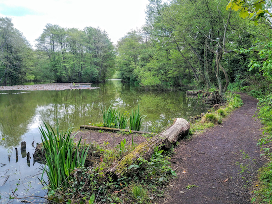 Follow the path along the southern edge of Gobions Pond