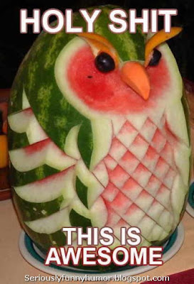 holy-shit-awesome-watermelon-shape-of-owl