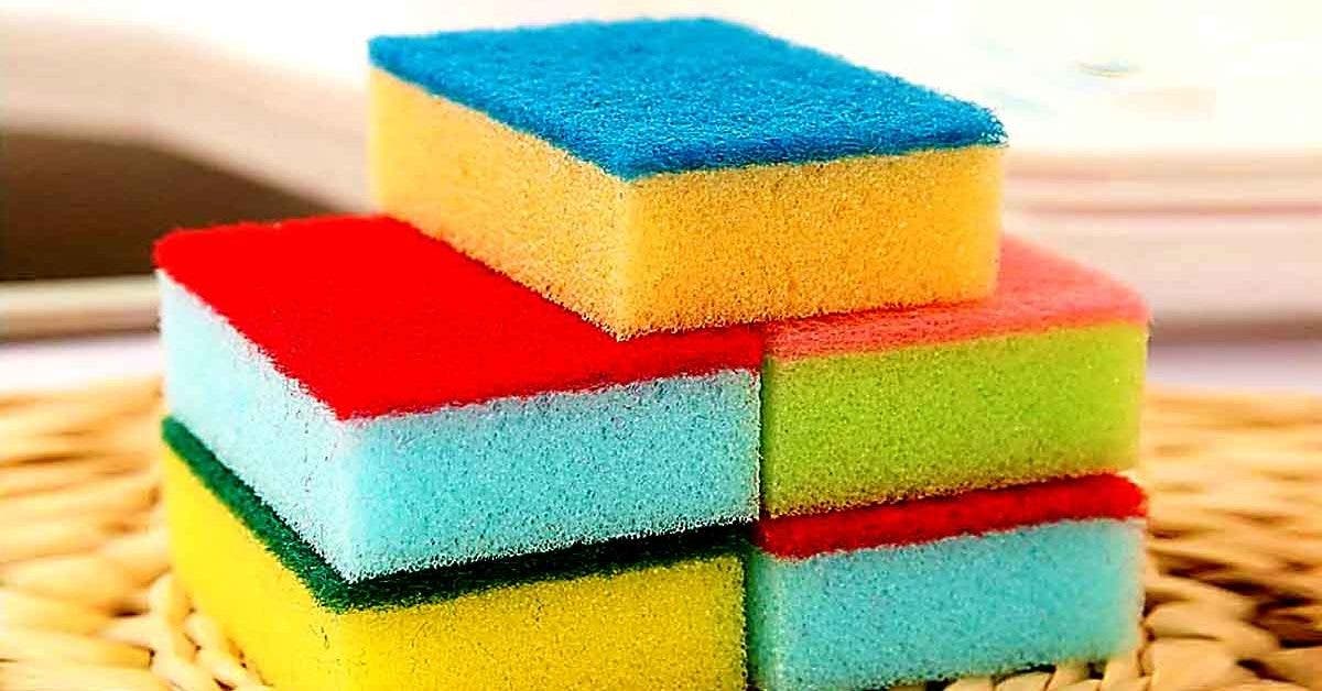  Why Do Dish Sponges Have Different Color? 