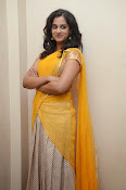 Nanditha raj latest photos in half saree-thumbnail-16