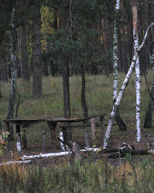 Фото Виталия Бабенко: стол и лавки в лесу