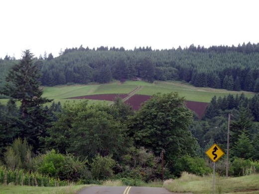 DSC03556b