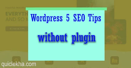 is wordpress better for seo,wordpress seo without plugin,does wordpress have seo