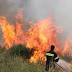  Μεγάλη φωτιά στις Μάλες Ιεράπετρας