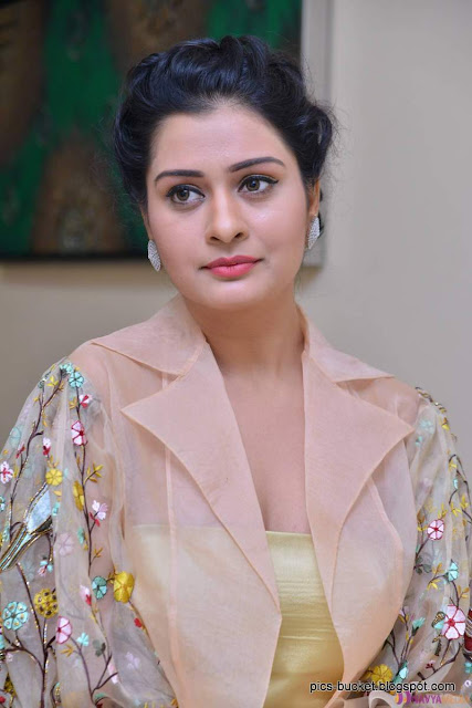 Actress payal rajput hot photos