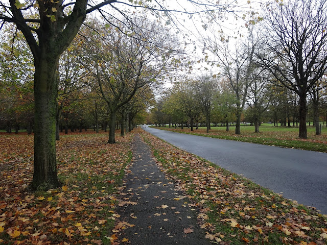 Chesterfield Avenue, the main drag through Phoenix Park