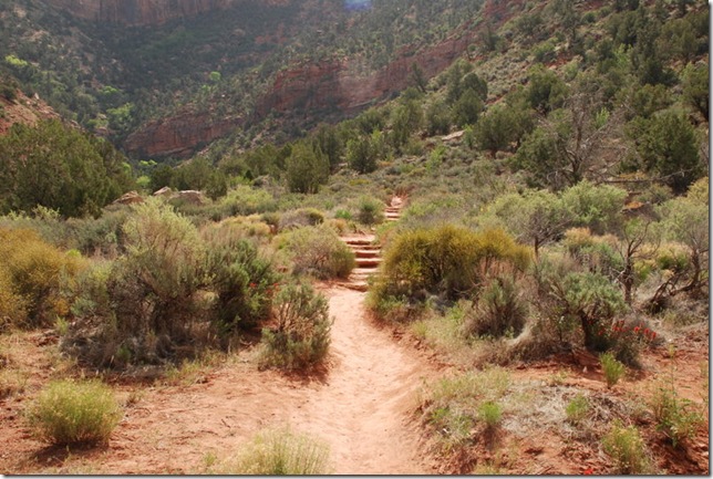 05-05-13 C Watchman Trail 008