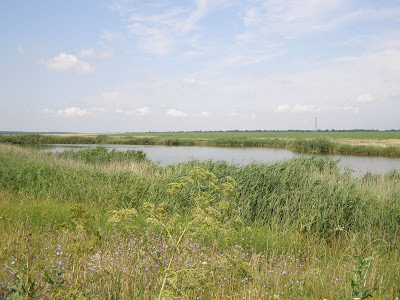 Село Зоривка, Новониколаевский район, Запорожская область  (фотографии)