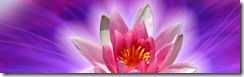 clip_image002
