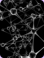 1043922_network_neurons_1