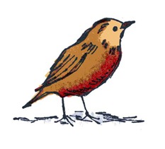 Robin Redbreast