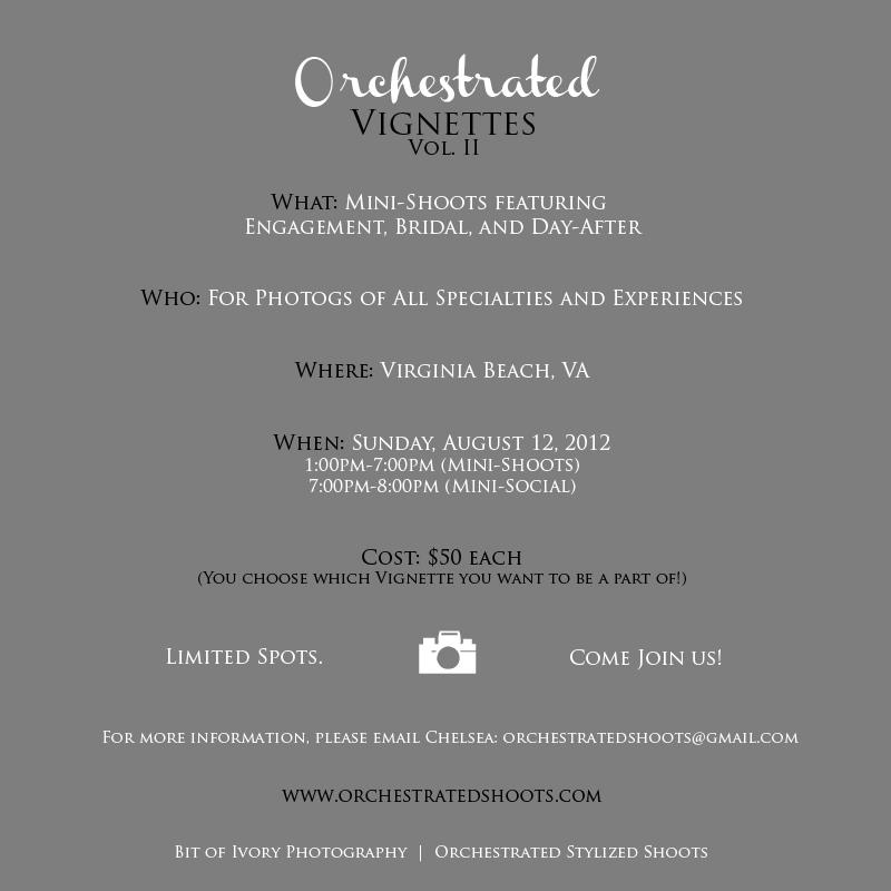Orchestrated Stylized Shoot in Virginia Beach August 12 2012