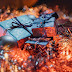 Matched post excerpt thumbnail in the post footer.