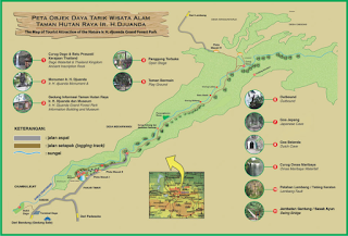 Wisata Taman Hutan Raya Ir. H. Djuanda (Tahura Dago)