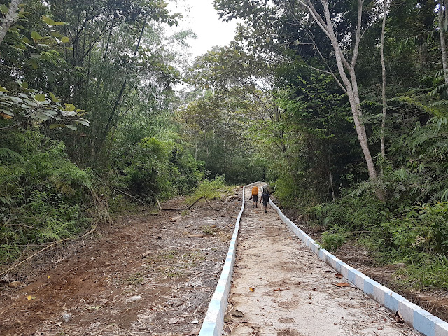 Trekking of Lake Kaco Forest Jambi Indonesia