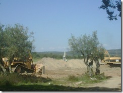 IMG00056-20110321-1454