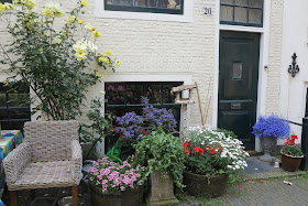 container garden, urban garden, flowers, Haafner