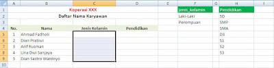 Membuat data validation di excel 2007