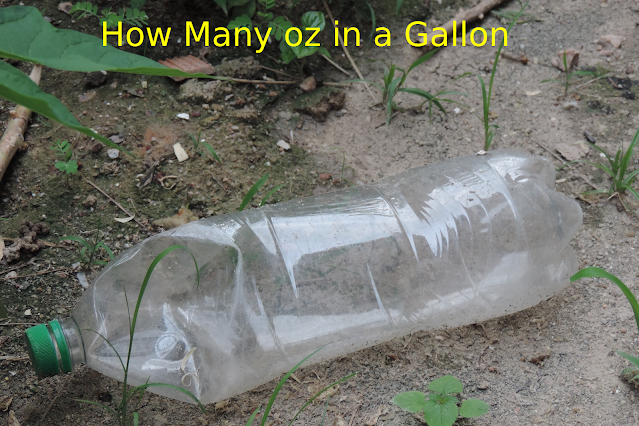 How Many oz in a Gallon