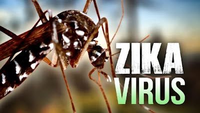 4 Tip cara Mencegah Virus Zika