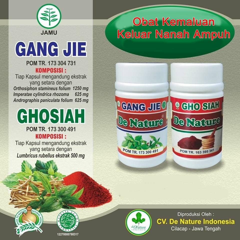 obat kemaluan keluar nanah gang jie gho siah de nature