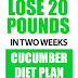 Cucumber Diet To Lose Weight: What You Need To Know