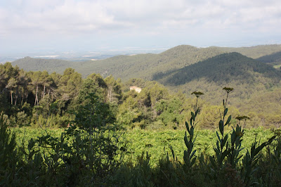 LA JUNCOSA DEL MONTMELL - BAIX PENEDÈS,  Bosc i Masia de Torrossola